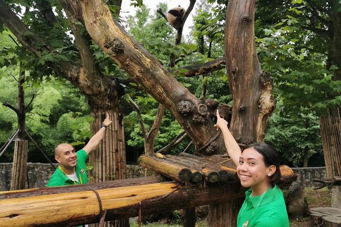 Private Dujiangyan Panda Base Panda Rescue Center Volunteer for a Day - Pickup and Departure