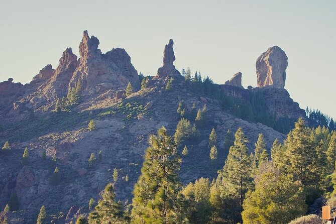 Private Excursion the Mountains of Gran Canaria for 2 to 4 People - Experience Highlights