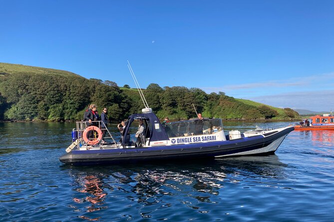 Private Family Sea Safari - Meeting Location