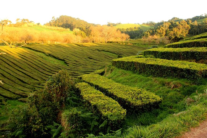 Private Full-Day 4x4 Tour to Furnas Volcano - Itinerary Highlights