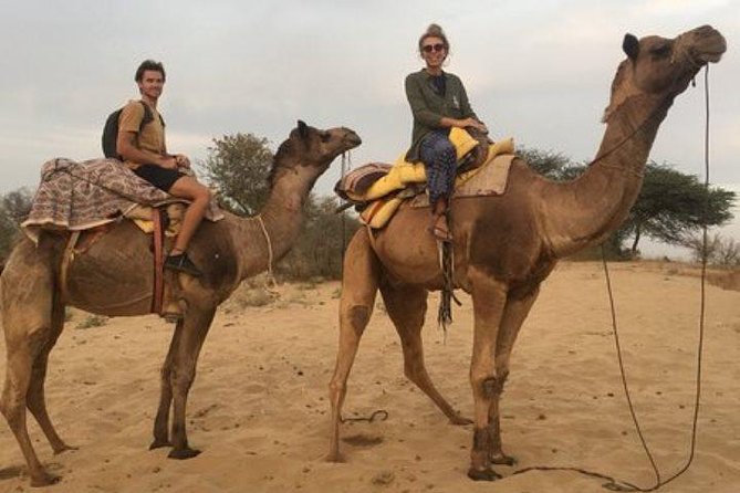 Private Full-Day Jodhpur City Tour and Desert Safari - Inclusions and Exclusions