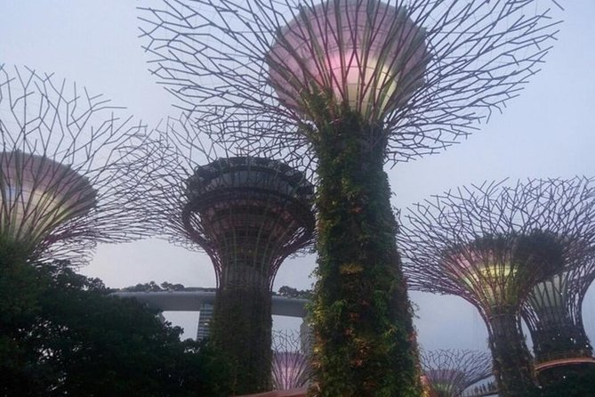 Private Full Day Singapore Highlights Tour - Itinerary Highlights