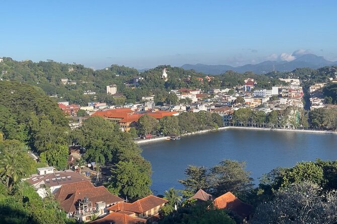 Private Full Day Tour Sigiriya and Dambulla From Kandy - Inclusions and Amenities