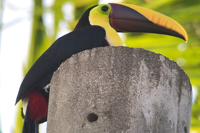 Private Guided Walking Tour in Hacienda Baru - Tour Highlights
