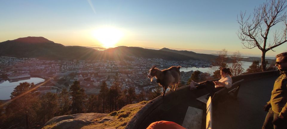 Private Hiking Tour Bergen Mountains Like a Local - Unique Landscapes of Mount Floyen