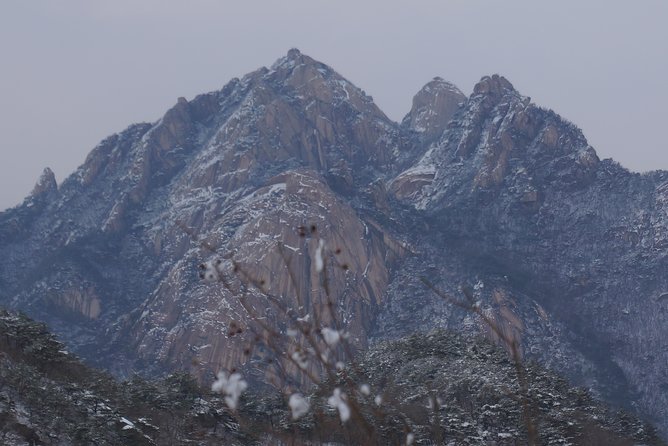 Private Hiking Tour to Bukhansan Peak(Baegundae: 836.5m) With Mountain Expert - Highlights of the Tour