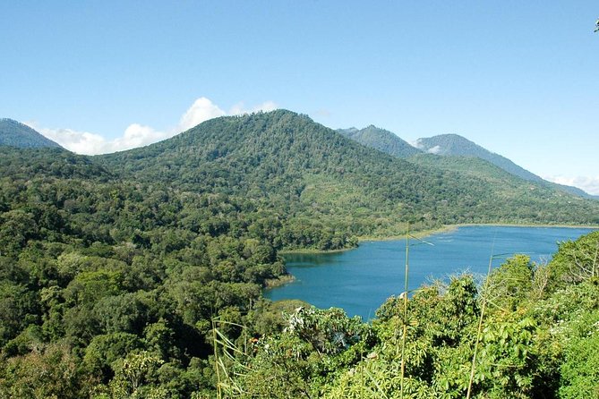 Private Jatiluwih Rice Terraces Heritage Site and Culture Tour - Itinerary Highlights