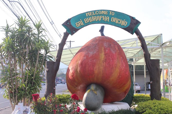 Private Local City Tour With English Speaking Driver - Inclusions and Benefits