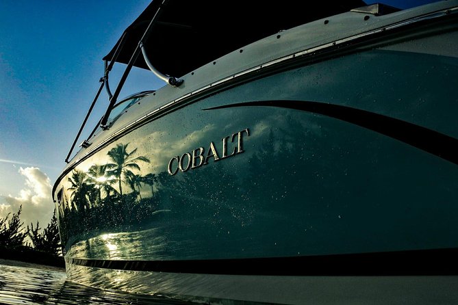 Private, Luxury, Custom Charters to Stingray City, Snorkeling & More - Activities Offered