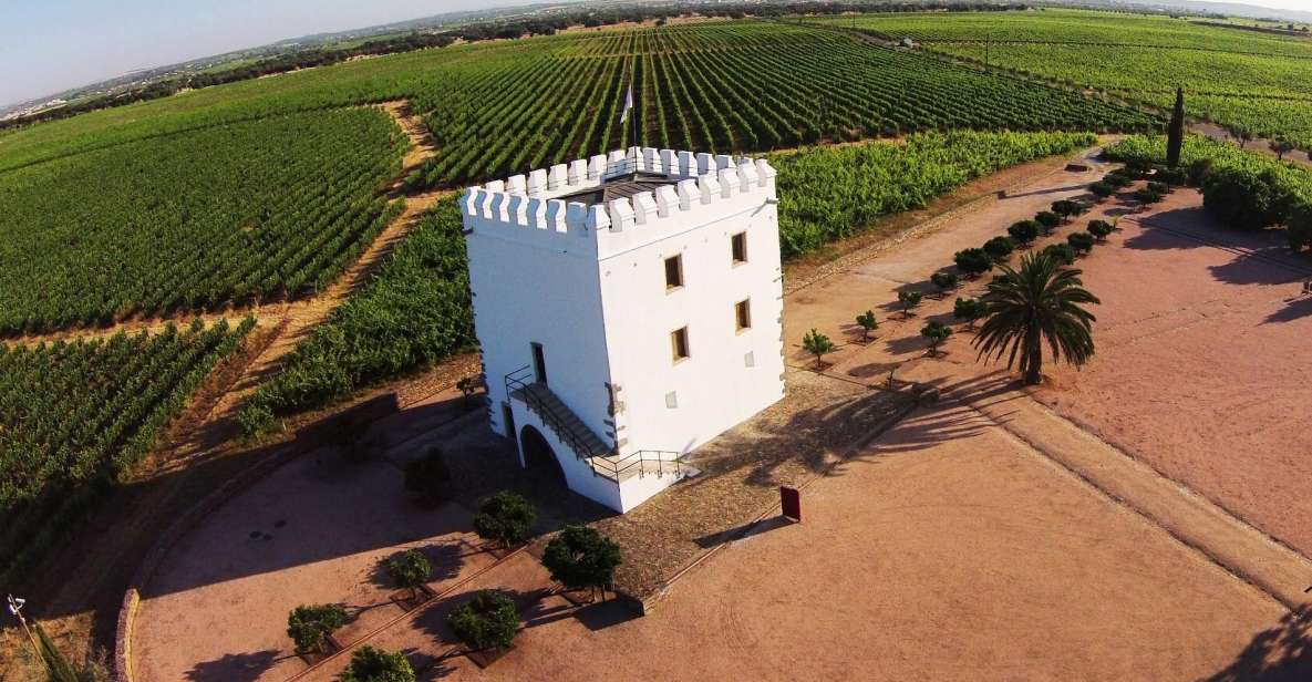 Private Luxury Wine & Food Tour in Alentejo - Itinerary Highlights