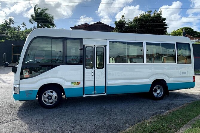 Private Montego Bay Airport Transfer to Ocho Rios Hotels - Inclusions of the Service