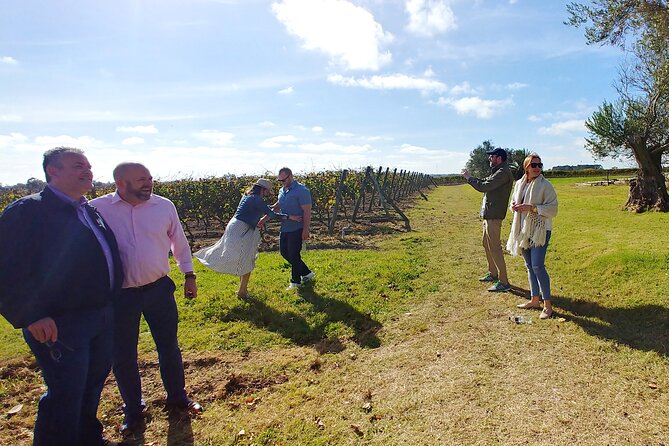 Private Mvd Winery Visit and Paired Lunch With Wines - Itinerary and Activities