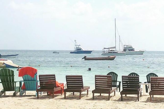 [Private] Negril Sightseeing Tour With Ricks Cafe Cliff Diving - Tour Inclusions and Logistics