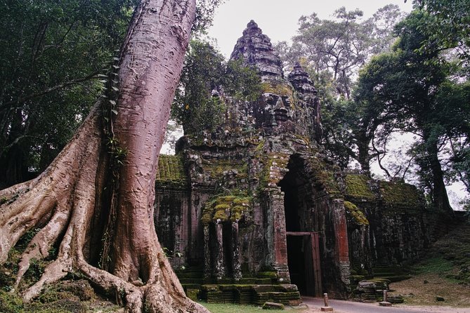 Private One Day Trip-The Best Experience in Siem Reap - Private Tour Benefits