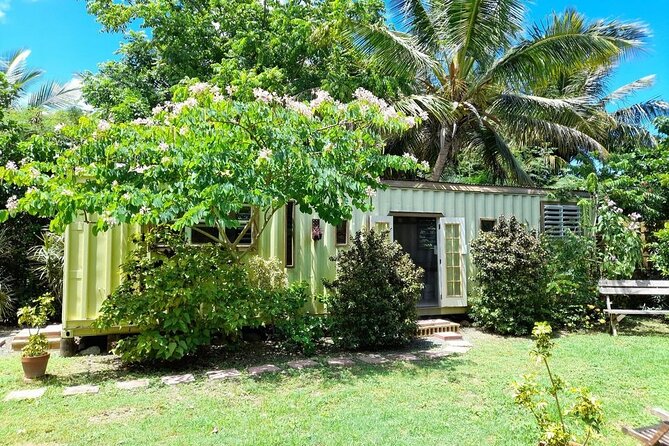Private Pottery Experience at British Virgin Islands - Pricing Structure