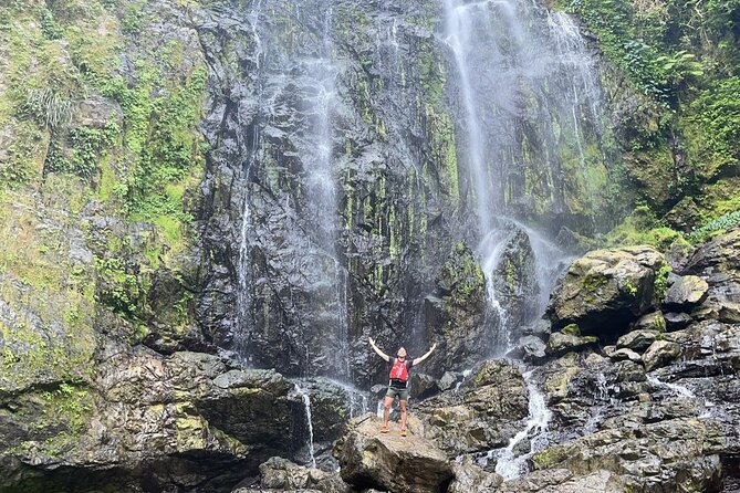 Private Rainforest Hike to Hidden Waterfall Tour With Transport - Whats Included in the Tour