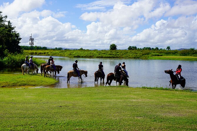 Private Ranch Horseback Tour in Carolina, Puerto Rico - What to Expect