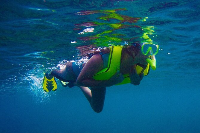 Private Rincon Snorkeling Adventure - Tour Inclusions