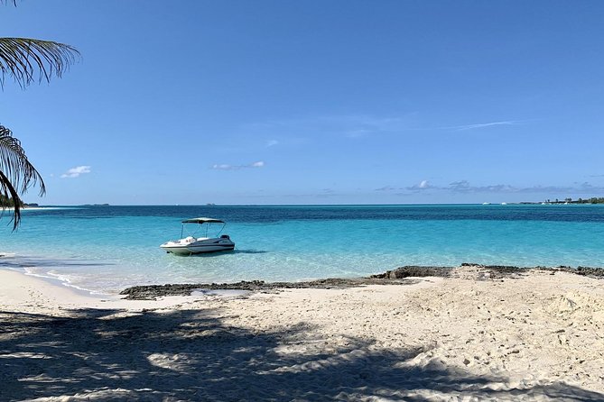 Private Rose Island Half Day Charter With Swimming Pigs - Activities on the Water