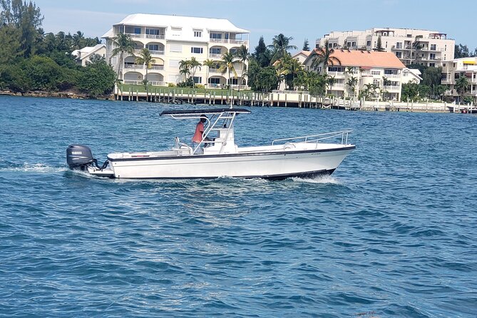 Private Rose Island Tour Snorkeling Fishing Swimming With Pigs - Meeting Point and Accessibility