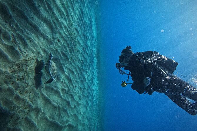 Private Scubadiving With Professional Instructor, Photos Included - Private Scuba Diving Experience