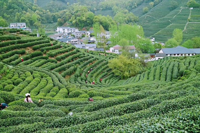 Private Shanghai to Hangzhou Bullet Train Day Trip Extravaganza - Inclusions and Pricing Details
