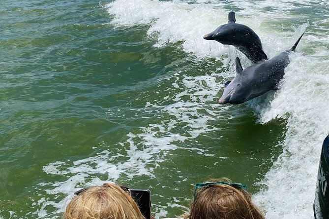 Private Shelling and Dolphin Excursion - What to Expect on the Tour