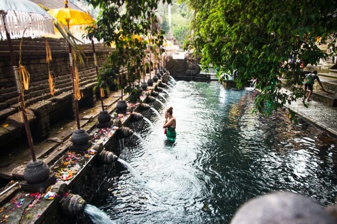 Private Shore Excursion: Highlights of Bali - Inclusions and Exclusions