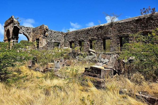 Private Snorkeling and Sightseeing Tour of Antigua - Whats Included in the Tour