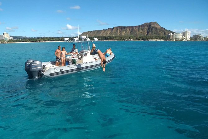 Private Snorkeling and Wildlife on The Adventure Boat - Tour Experience and Highlights