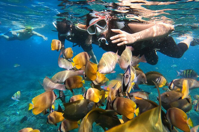 Private Snorkeling in Manta, Gamat & Crystal Bay at Nusa Penida - Pickup Locations and Times