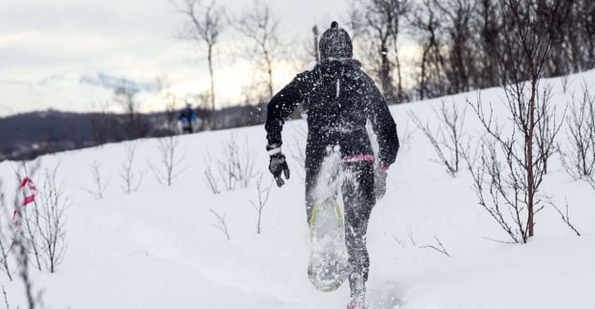 Private Snowshoeing Full Day - Highlights of the Adventure