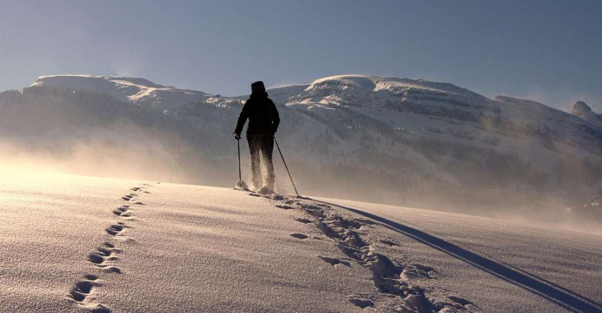 Private Snowshoeing Full Day - Highlights of the Experience