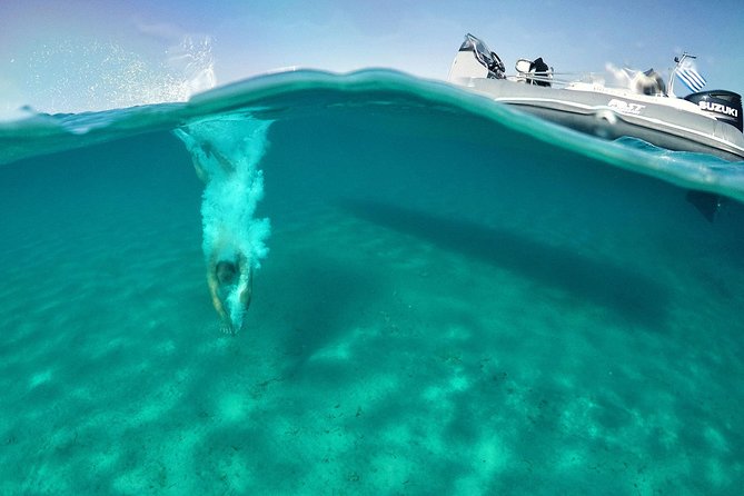Private Speedboat Cruise From Delos to Rhenia and Mykonos - Exciting Stops Along the Route
