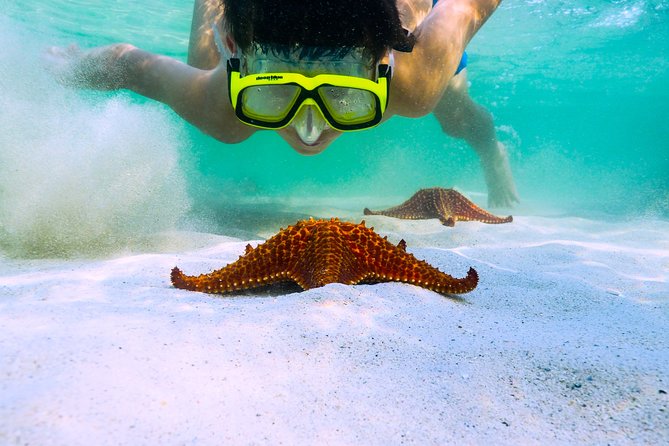 Private Stingray City and Snorkeling Half Day Charter for 6 Guest - Inclusions and Exclusions