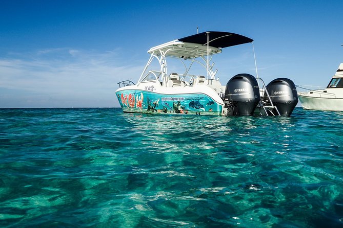 Private Stingray City Snorkeling and BioBay Charter for 10 Guests - Activity Schedule