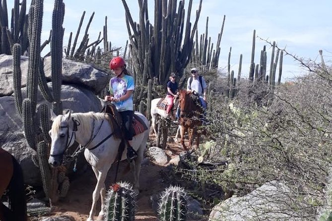 Private Sunset Horseback Ride - Meeting and Pickup Details