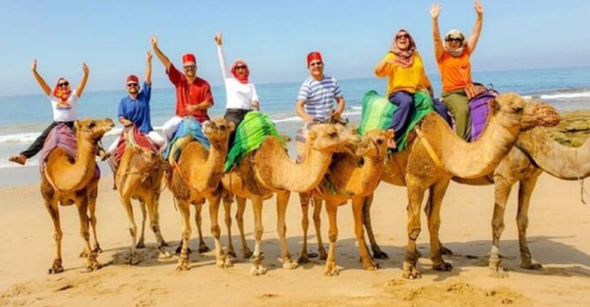 Private Tangier Tour From Marbella Including Camel & Lunch - Itinerary Highlights