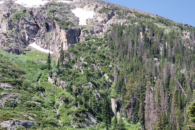 Private Three Hour Afternoon Custom Tour of Rocky Mountain National Park - Customizable Experience