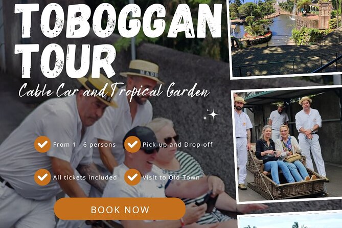 Private Tour Cable Car Toboggan Tropical Garden and Skywalk - Key Attractions and Highlights