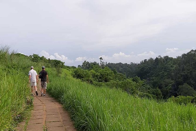 Private Tour: Campuhan Ridge Walk, Ubud Rice Terrace & Ubud Palace - Itinerary Overview