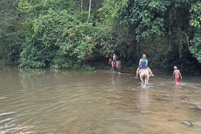 Private Tour in Miches With La Jarda Waterfall Experience - Inclusions and Logistics
