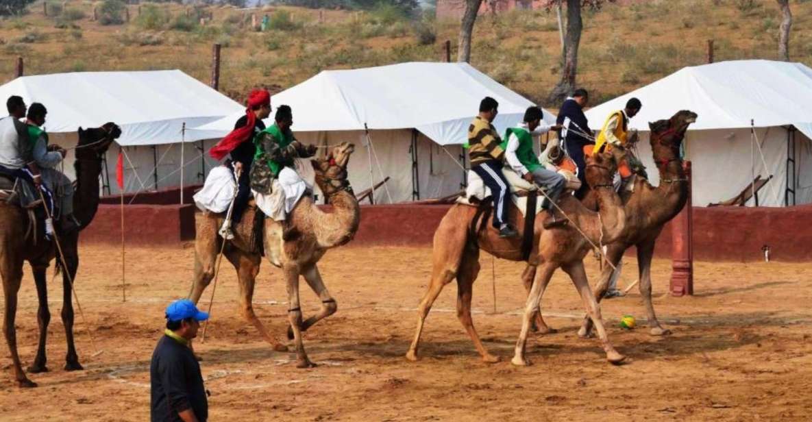 Private Tour : Jaisalmer City Tour and Desert Safari - Itinerary Highlights