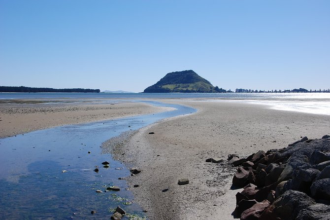 Private Tour Tauranga Highlights Shore Excursion up to 8 Passengers - Meeting and Pickup Details