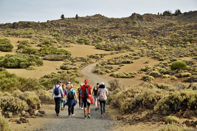 PRIVATE TOUR Teide National Park: Hiking and Stargazing - Pickup Locations and Times