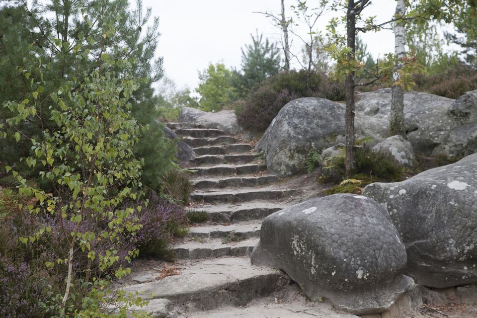 Private Tour to Chateaux of Fontainebleau From Paris - Historical Significance of Fontainebleau