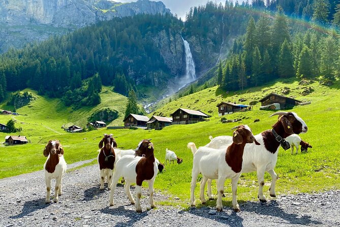 Private Tour to the Most Breathtaking Insider Spots in Switzerland (1 Day) - Inclusions