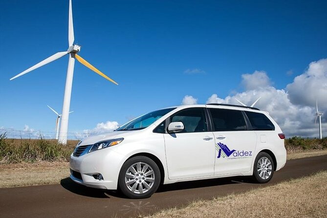 Private Transfer From or to Punta Cana Airport to Hotels in Bávaro - Accessibility Considerations