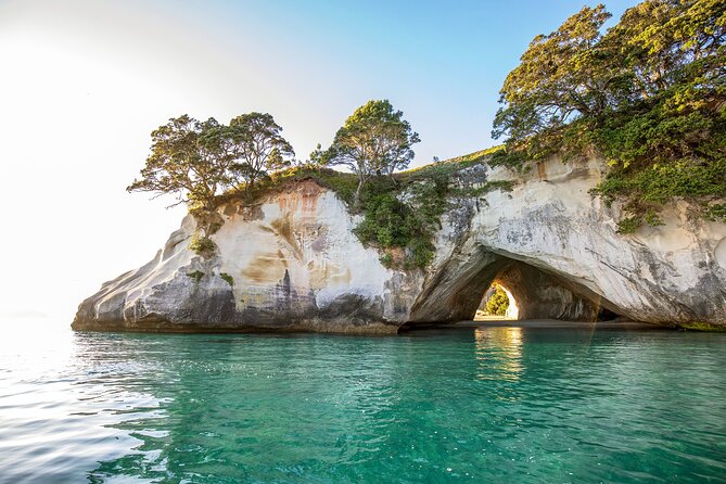 Private Trip to Coromandel - Whats Included in the Experience