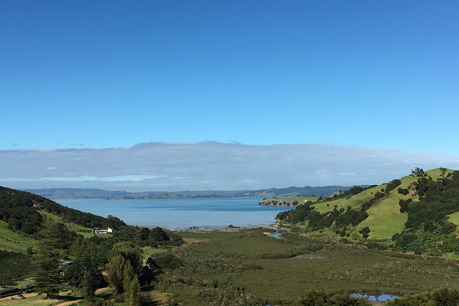 Private Vineyard Bush Walk Tour in Waiheke Island - Whats Included